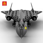 Blackbird Sr 71 Wange 1