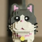 Gatto Moyu 1