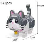 Gatto Moyu 6