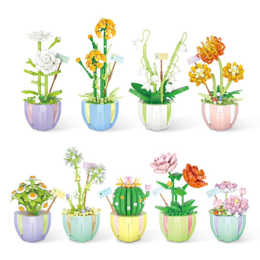 9 Piantine In Vaso Da Costruire Ottima Idea Regalo