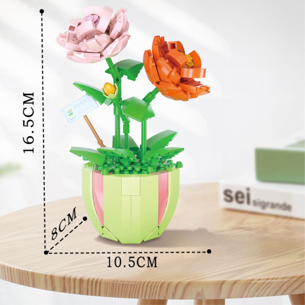 Piantine In Vaso Da Costruire Idea Regalo