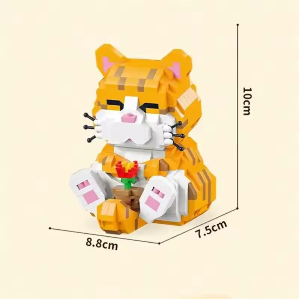 Gatto Tigrato 1