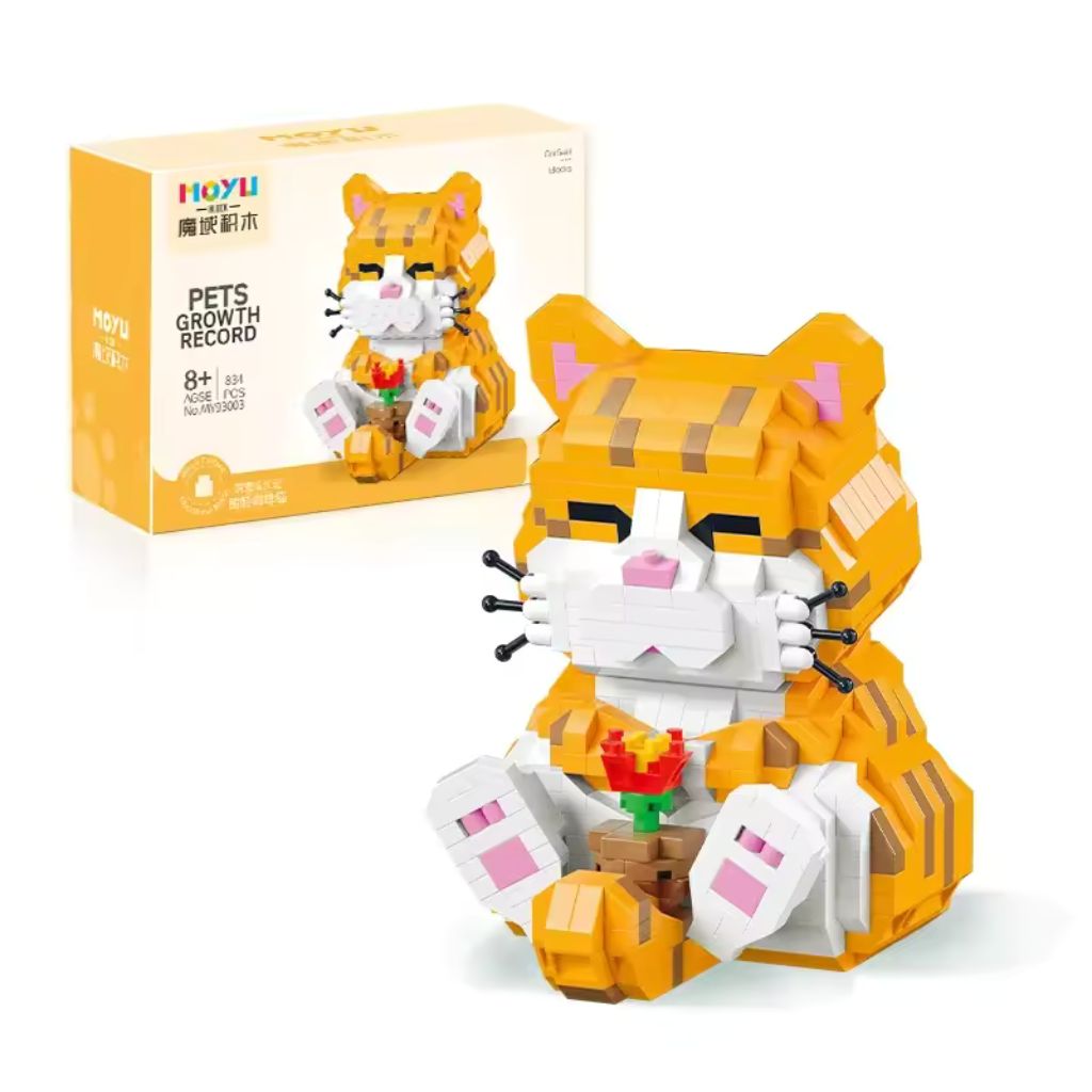 Gatto Tigrato