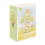 Bonsai Da Costruire Per Bambini
