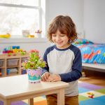 Bonsai Da Costruire Per Bambini 7 Anni